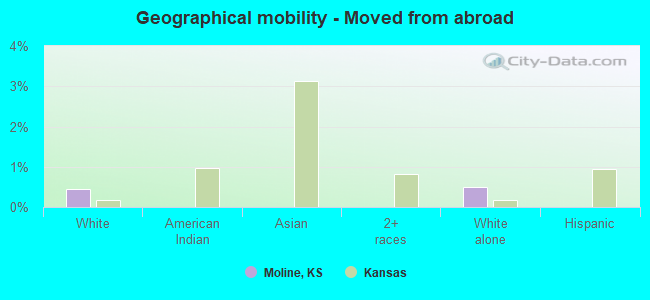 Geographical mobility -  Moved from abroad