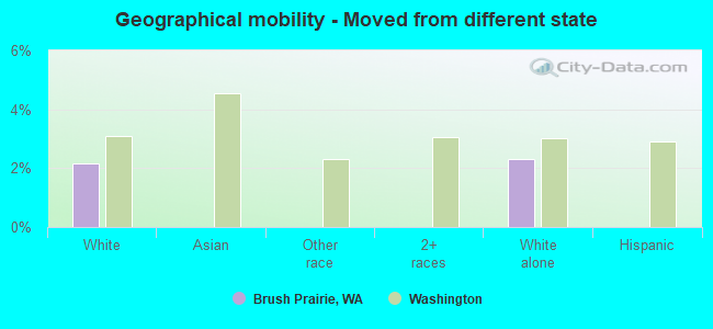 Geographical mobility -  Moved from different state