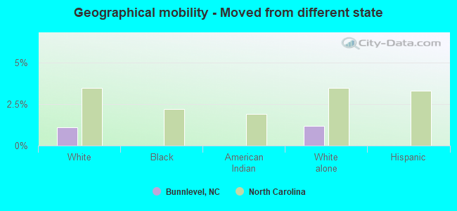 Geographical mobility -  Moved from different state