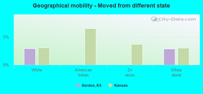 Geographical mobility -  Moved from different state