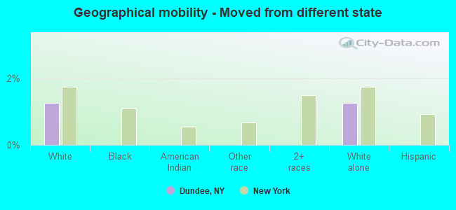 Geographical mobility -  Moved from different state