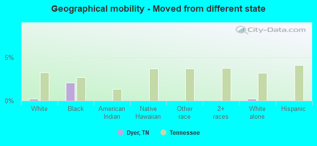 Geographical mobility -  Moved from different state