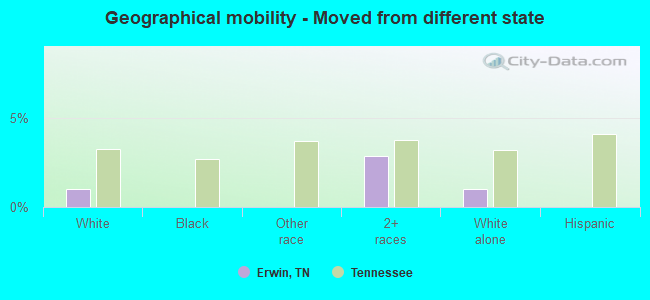 Geographical mobility -  Moved from different state