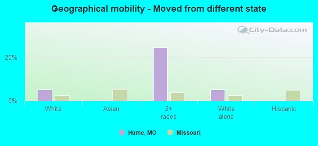 Geographical mobility -  Moved from different state