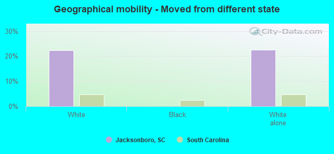 Geographical mobility -  Moved from different state