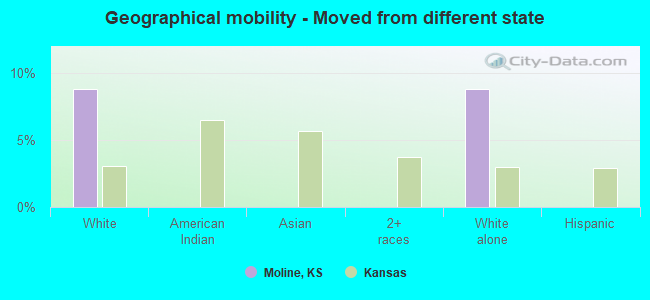 Geographical mobility -  Moved from different state