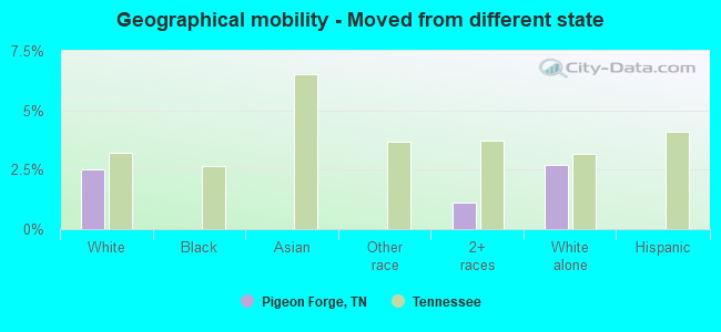 Geographical mobility -  Moved from different state