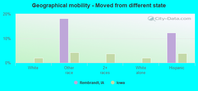 Geographical mobility -  Moved from different state