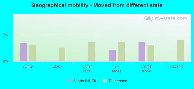 Geographical mobility -  Moved from different state