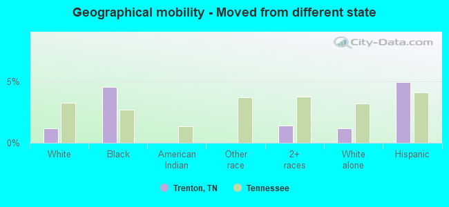 Geographical mobility -  Moved from different state