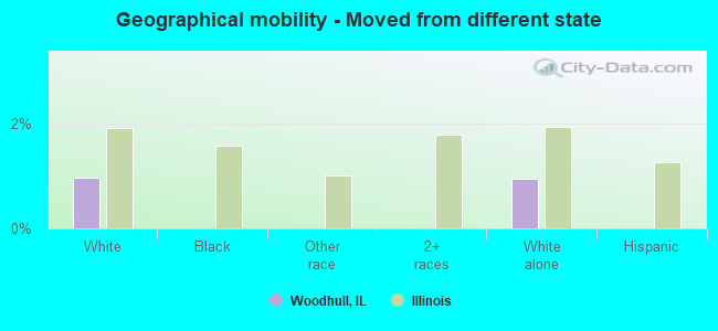 Geographical mobility -  Moved from different state