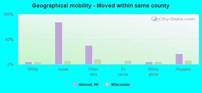 Geographical mobility -  Moved within same county