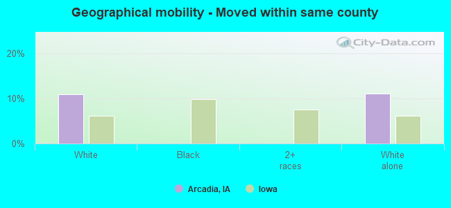 Geographical mobility -  Moved within same county