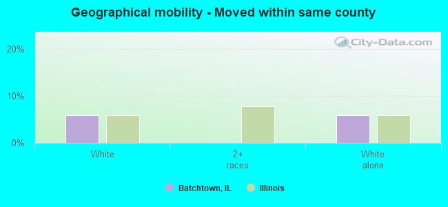 Geographical mobility -  Moved within same county