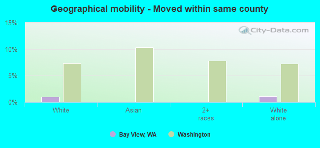 Geographical mobility -  Moved within same county