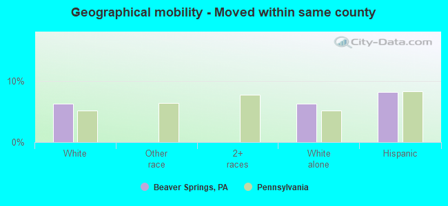 Geographical mobility -  Moved within same county