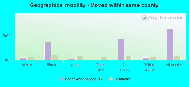 Geographical mobility -  Moved within same county