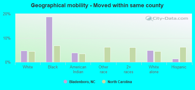 Geographical mobility -  Moved within same county