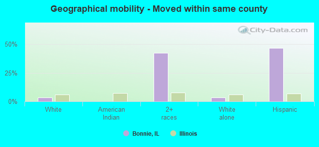 Geographical mobility -  Moved within same county