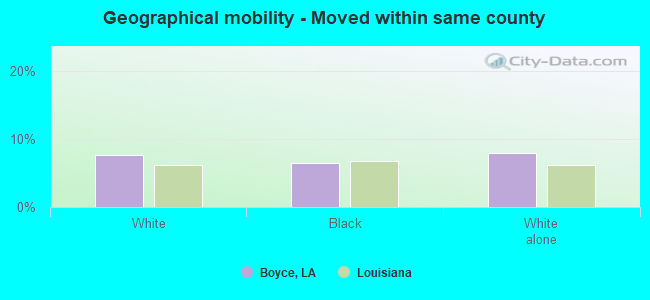 Geographical mobility -  Moved within same county