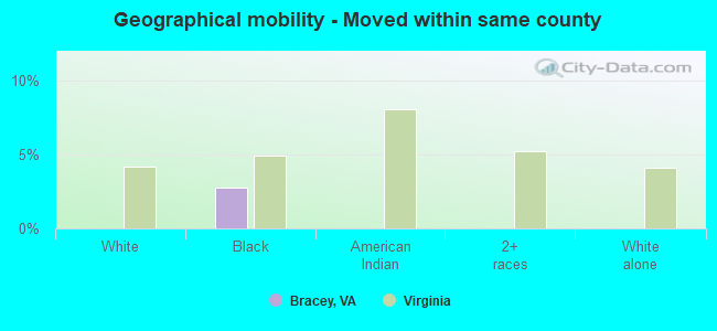 Geographical mobility -  Moved within same county