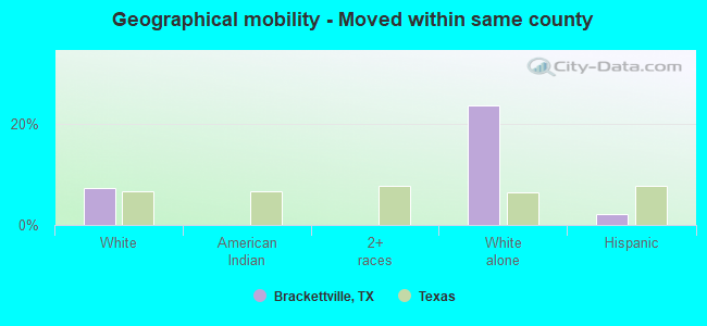 Geographical mobility -  Moved within same county