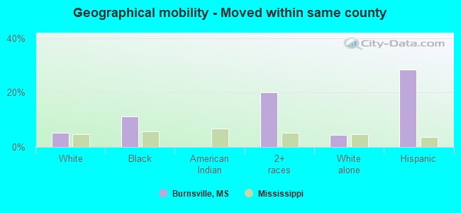 Geographical mobility -  Moved within same county