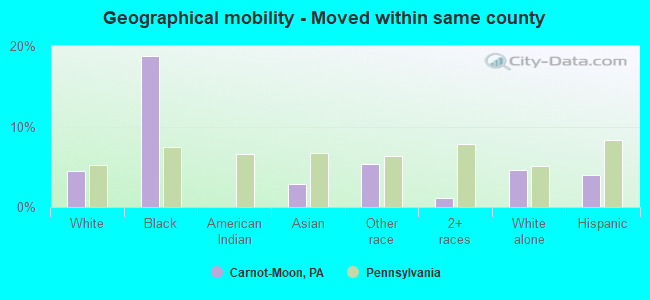 Geographical mobility -  Moved within same county