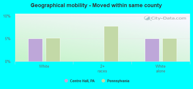 Geographical mobility -  Moved within same county