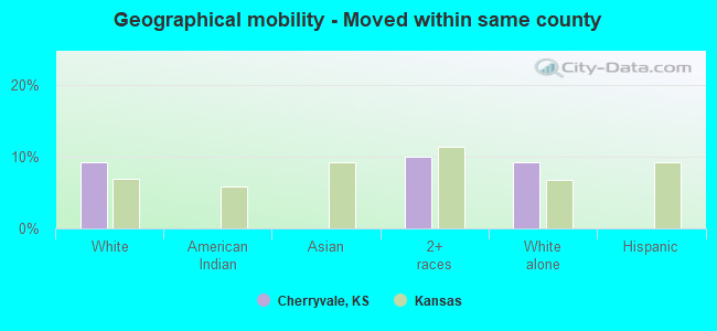 Geographical mobility -  Moved within same county