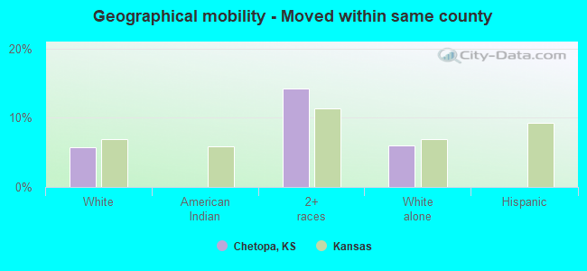 Geographical mobility -  Moved within same county