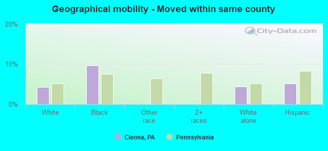 Geographical mobility -  Moved within same county