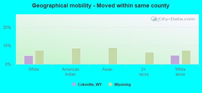 Geographical mobility -  Moved within same county