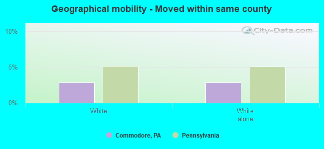 Geographical mobility -  Moved within same county