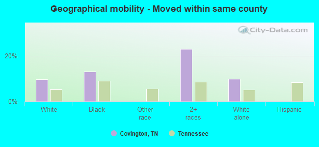 Geographical mobility -  Moved within same county