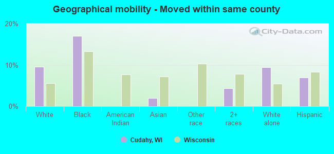 Geographical mobility -  Moved within same county