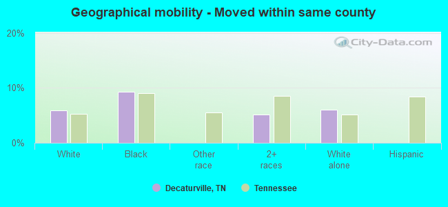 Geographical mobility -  Moved within same county