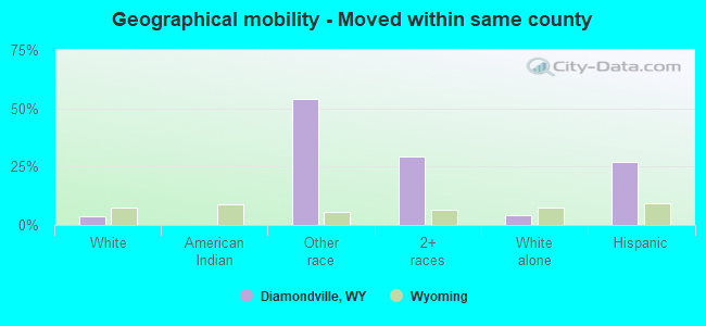 Geographical mobility -  Moved within same county