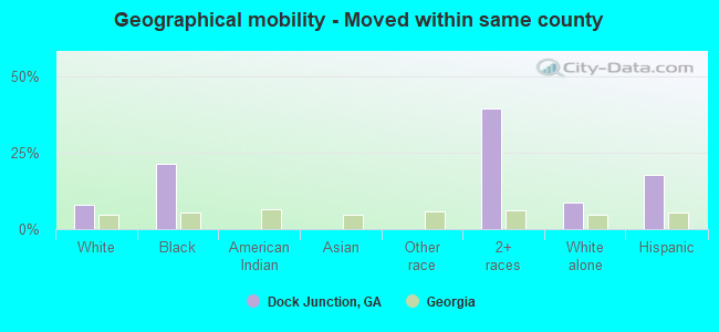 Geographical mobility -  Moved within same county