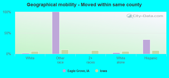 Geographical mobility -  Moved within same county