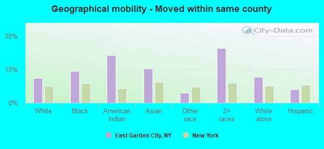 Geographical mobility -  Moved within same county