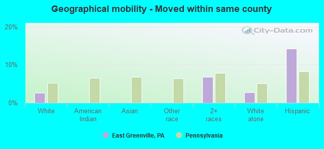 Geographical mobility -  Moved within same county