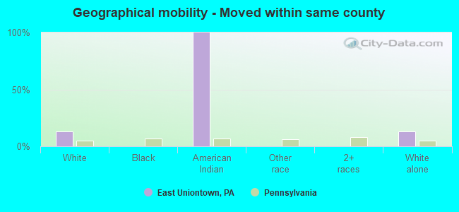 Geographical mobility -  Moved within same county