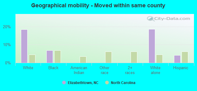 Geographical mobility -  Moved within same county