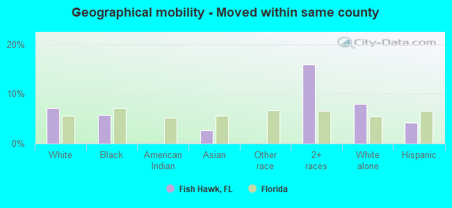 Geographical mobility -  Moved within same county