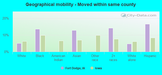 Geographical mobility -  Moved within same county