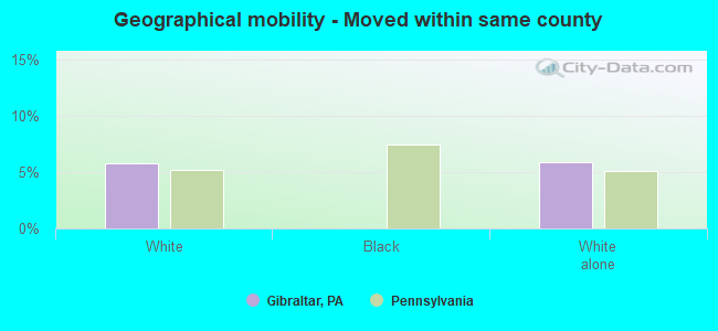 Geographical mobility -  Moved within same county