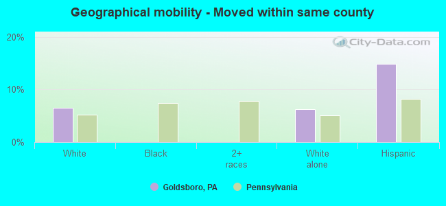 Geographical mobility -  Moved within same county