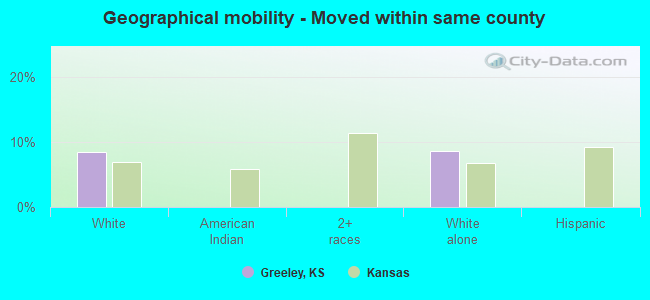 Geographical mobility -  Moved within same county