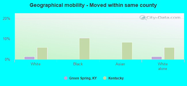 Geographical mobility -  Moved within same county